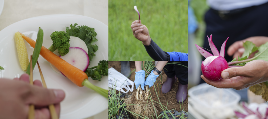 南さつま市の自然農法マイクロツーリズムから学ぶわたしたちの食と健康
